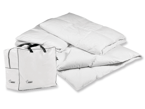 Hedredón Moshy de Dvives Sucesores