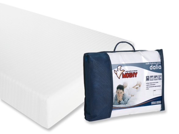 Almohada Moshy de Dvives Sucesores